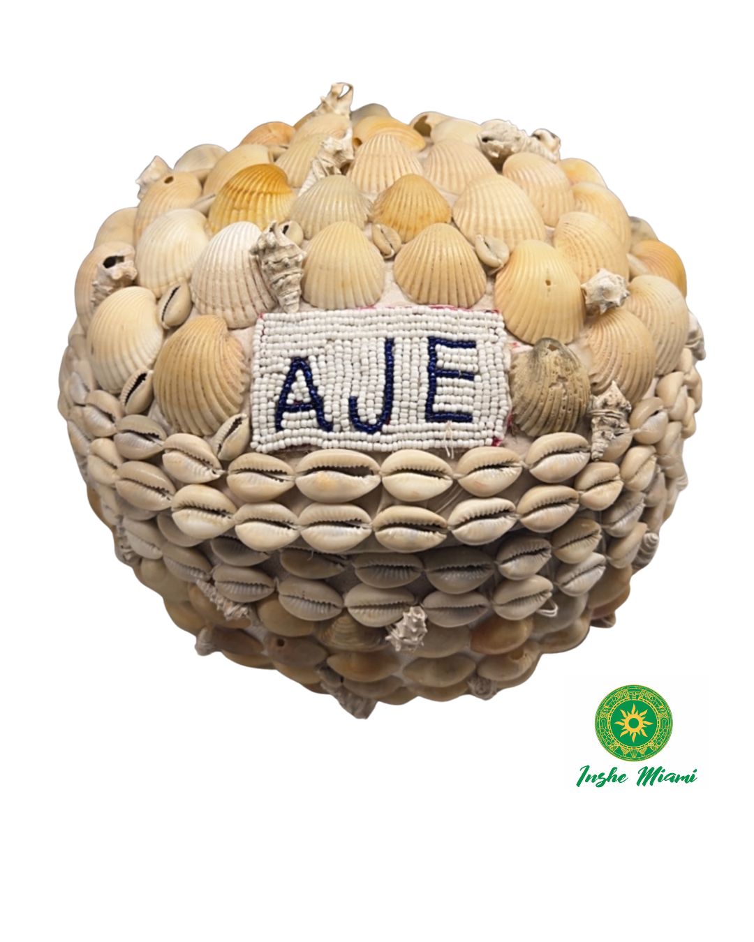 Igba Aje con Caracoles y Conchas Naturales | INSHE MIAMI