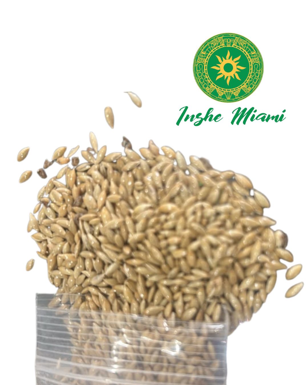 Canary Seed – Traditional Seeds | Inshe Miami