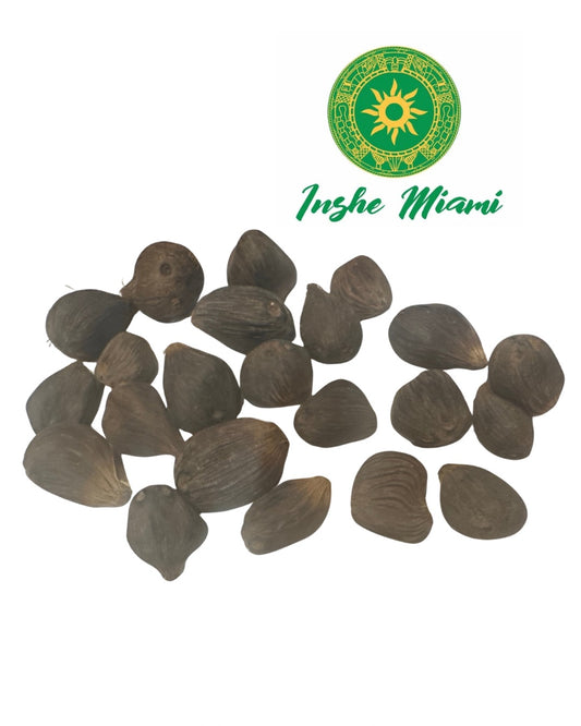 Ikines de 4 ojo - mano de ikines 21 pieza - mano de Ifa - adele