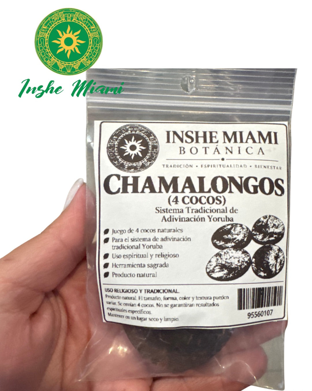 Chamalongos (4 Coconuts) – Traditional Yoruba Divination System | Inshe Miami