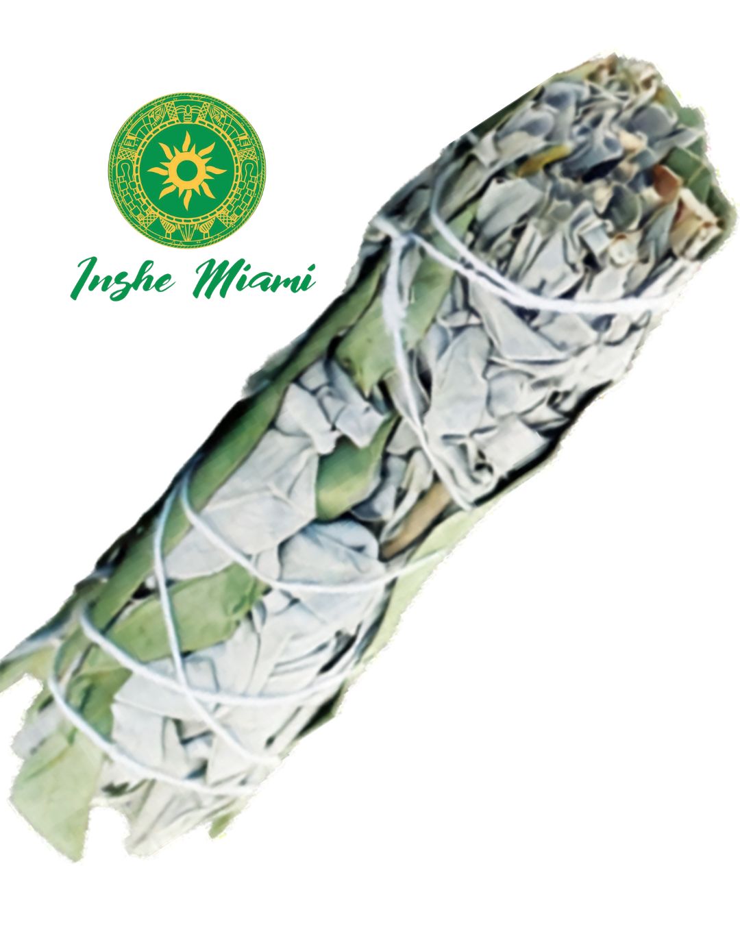 Sage - White Sage with Roses 4"