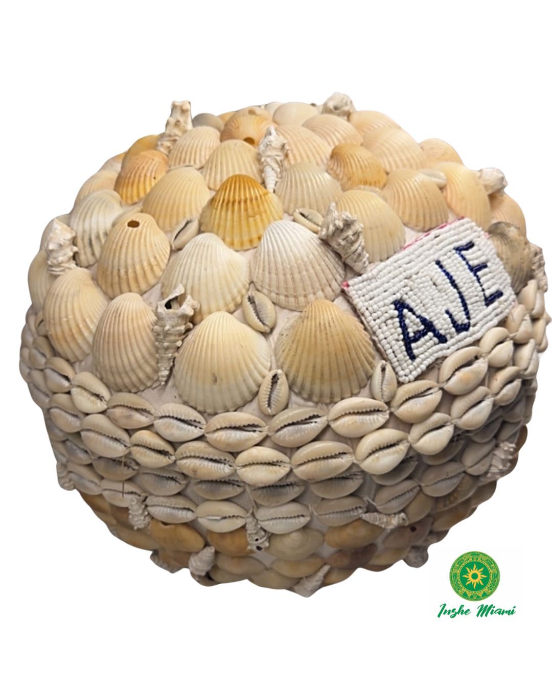Igba Aje con Caracoles y Conchas Naturales | INSHE MIAMI