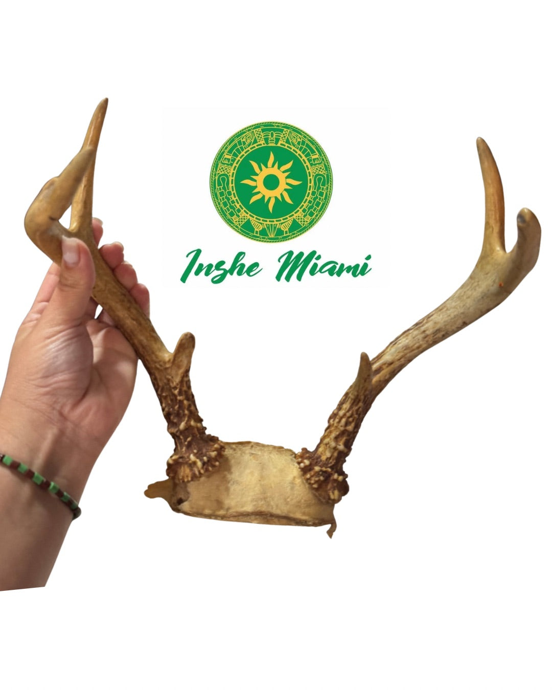 TARRO DE VENADO