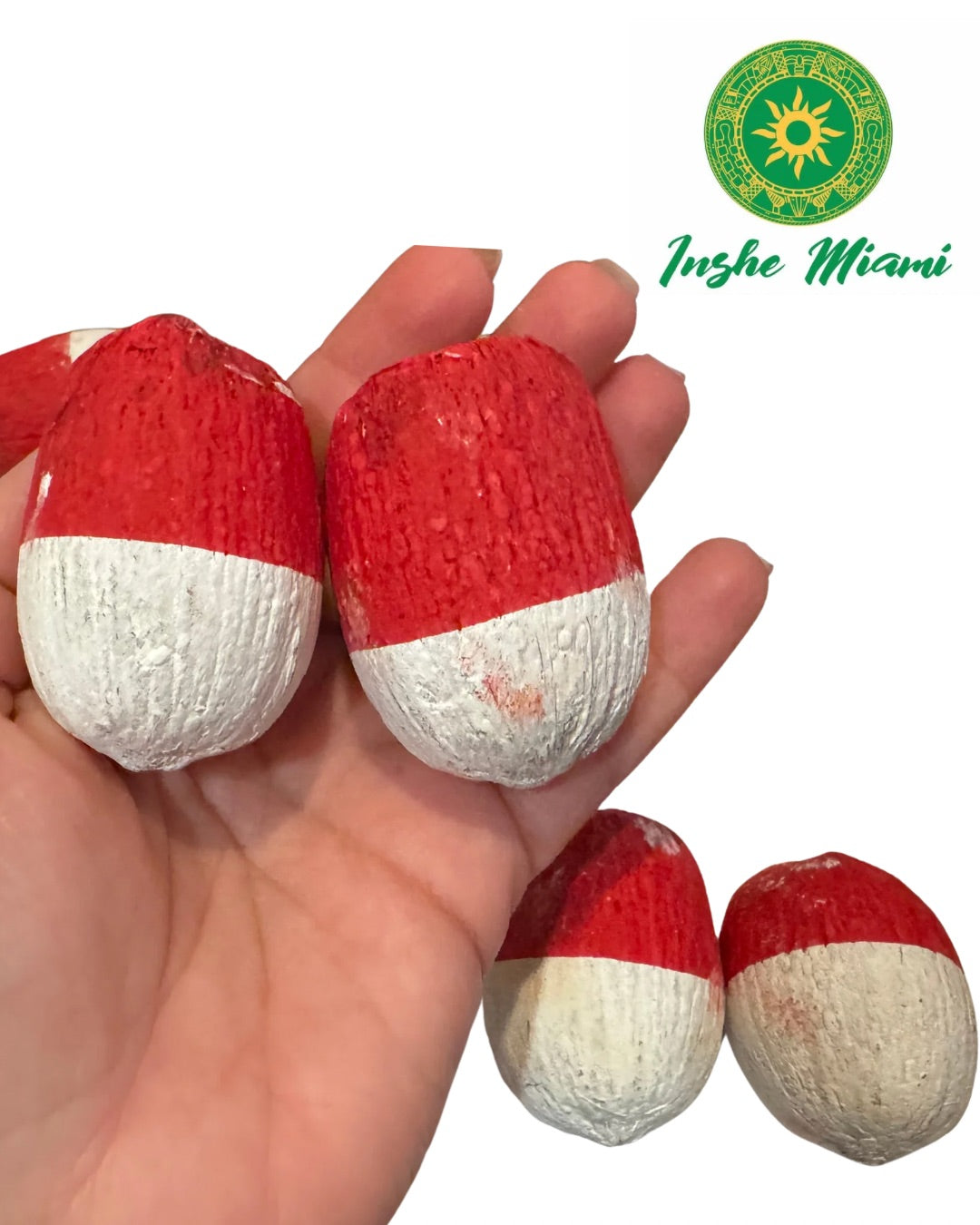 Cocos Chicos 2" Pintados para Orisha Oko – Set de 2 Rojo y Blanco | Inshe Miami