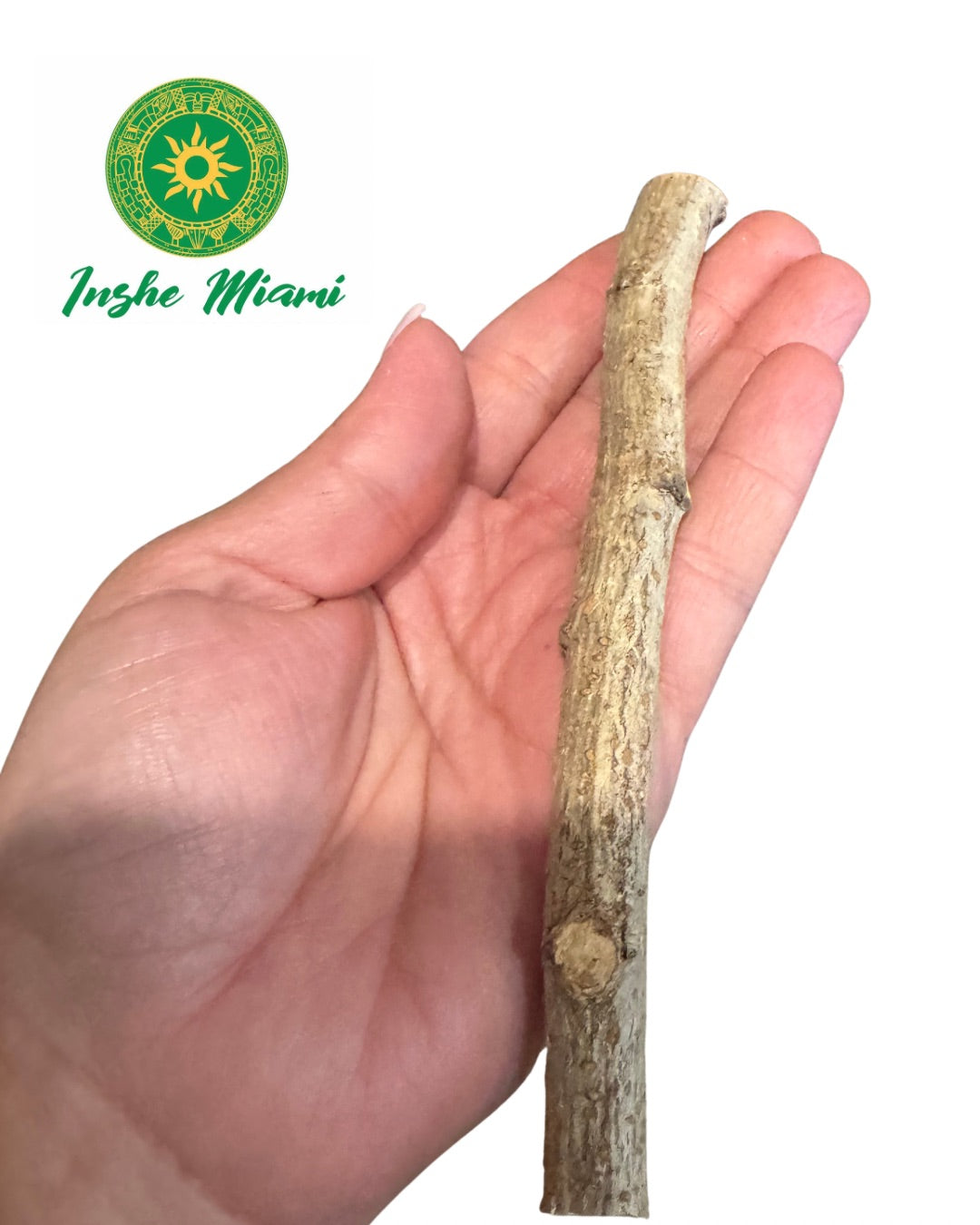 Guava Stick 5.5" | Natural Spiritual Stick for Traditional Use | Inshe Miami
