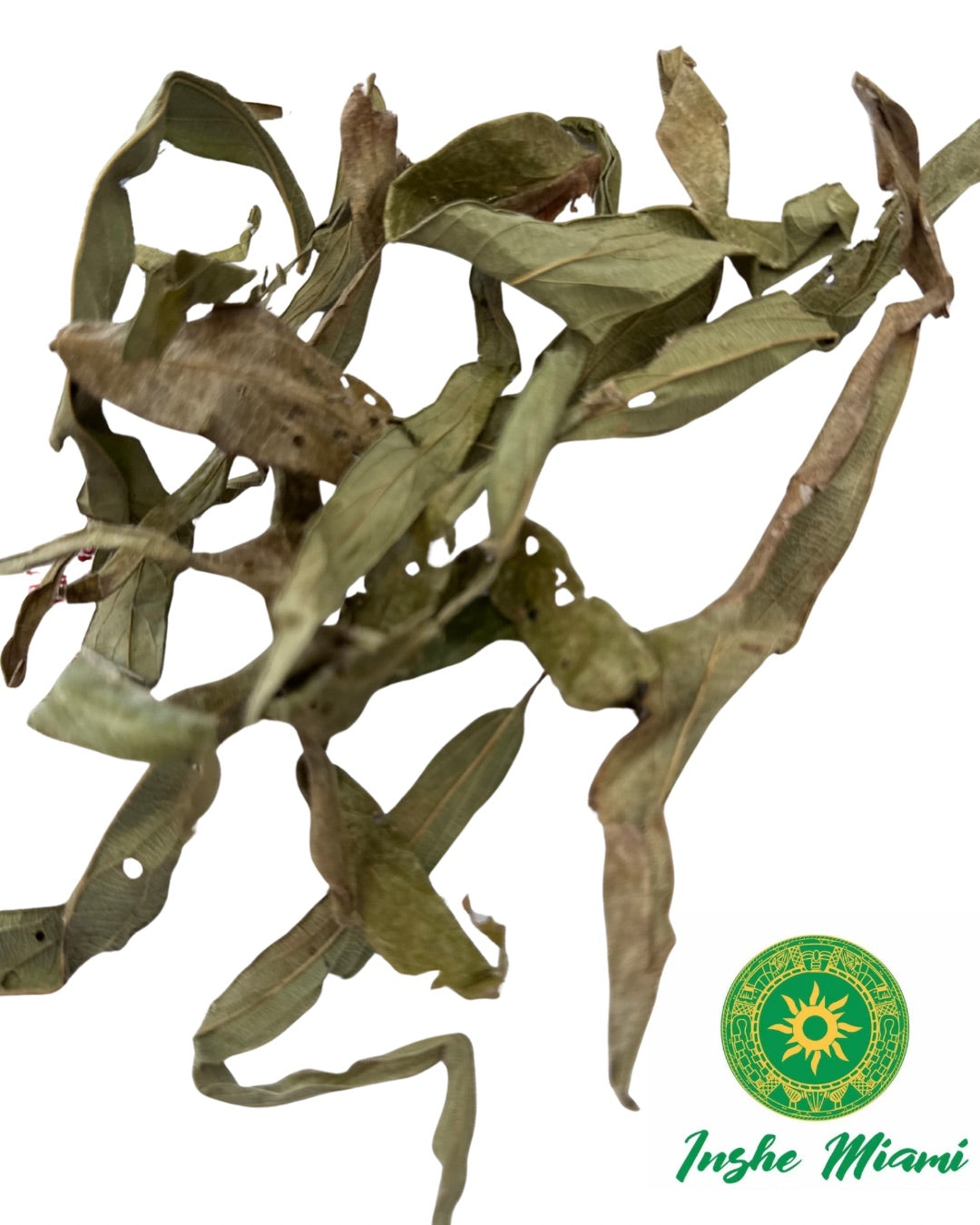 Ewe Alupaida / Apada