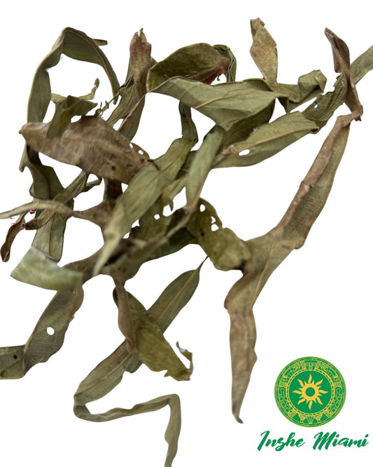 Ewe Alupaida / Apada