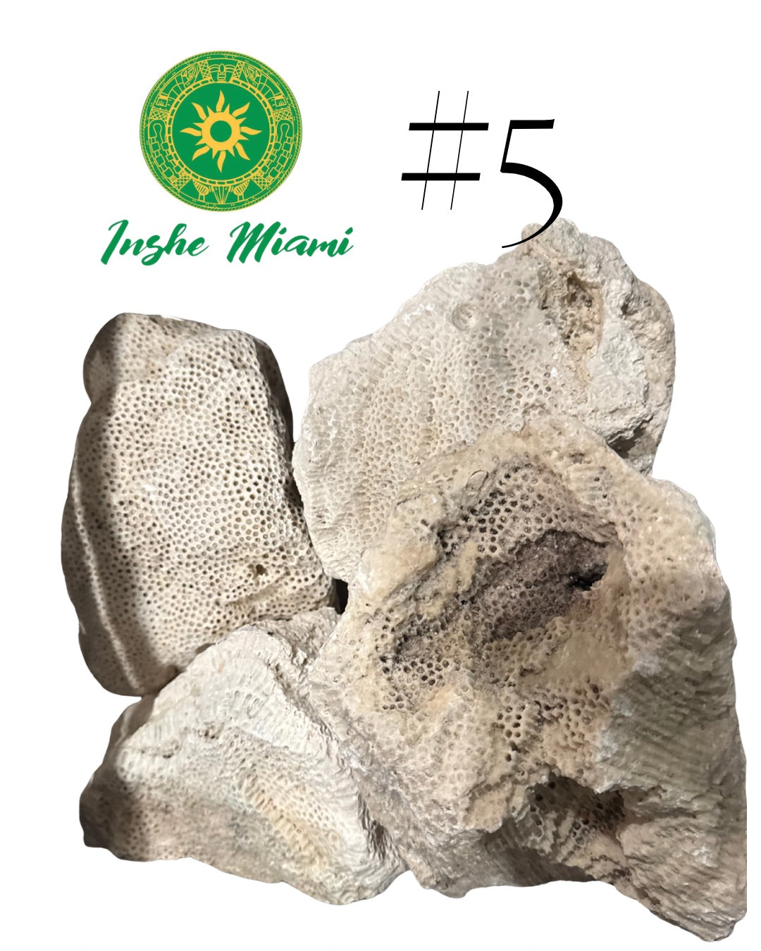 Piedra Porosa Babalu Aje