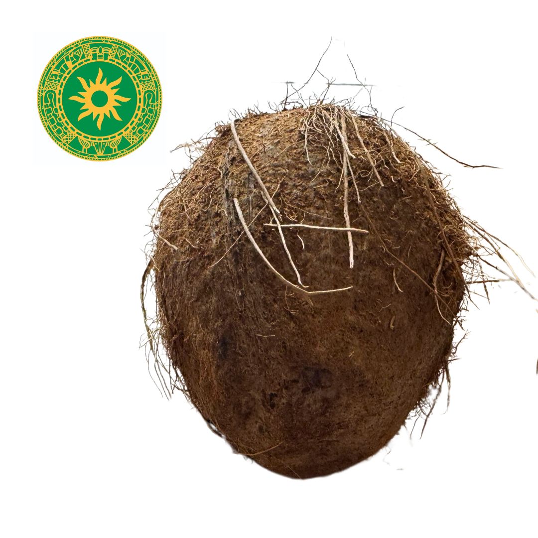 Set Basico para Rogacion de Cabeza Ibori| Implementos Tradicionales Ifa, Yoruba y Santeria | Inshe Miami