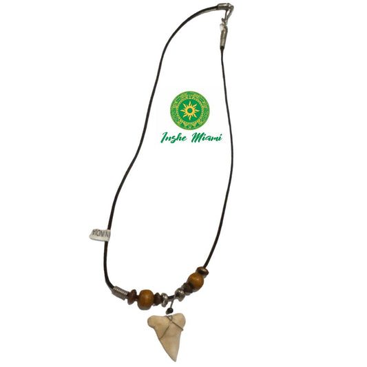 Colgante Collar con Diente de Tiburon