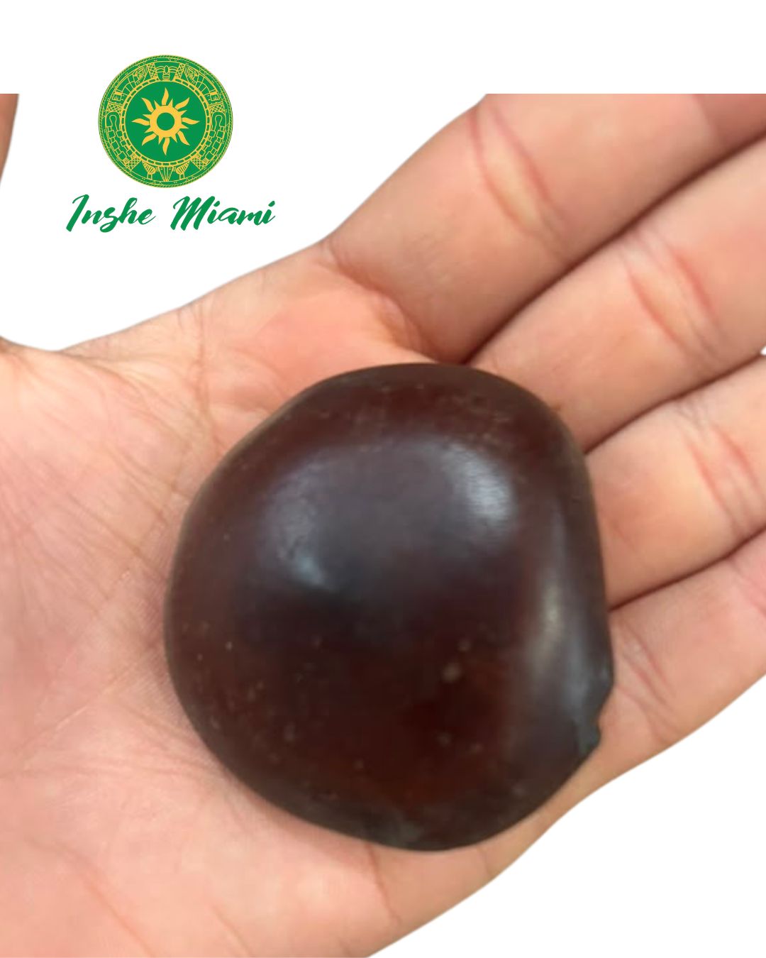 Semilla Polja – Corazón de Changó | Semilla Tradicional Espiritual | Inshe Miami
