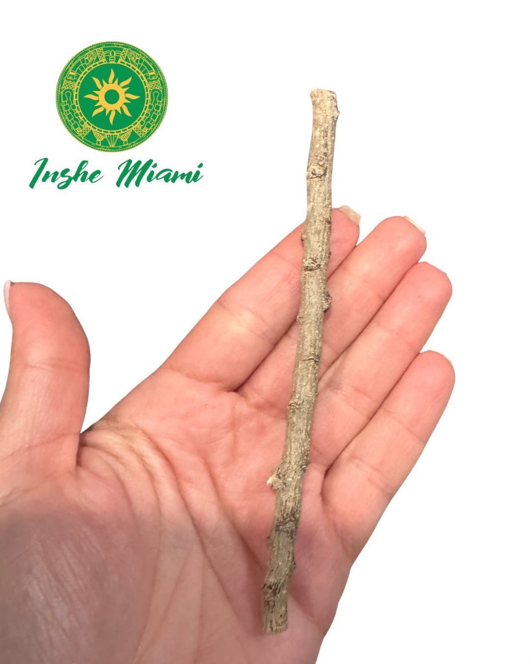 Guava Stick 5.5" | Natural Spiritual Stick for Traditional Use | Inshe Miami