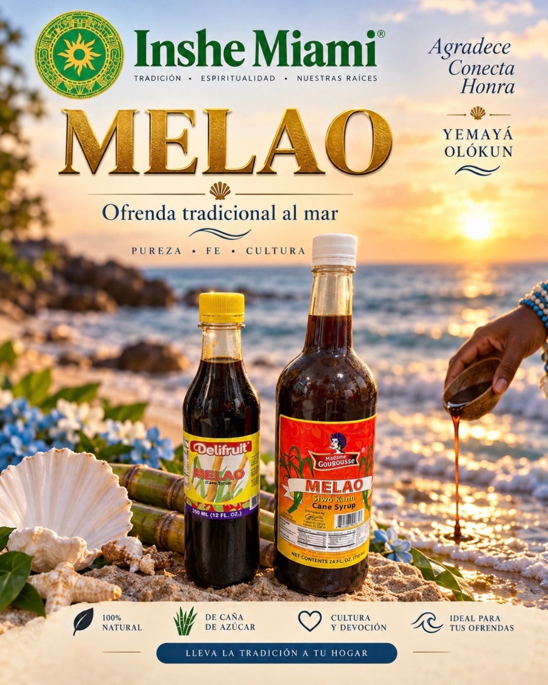 Melado de Caña (Melaza) – Delifruit 12 oz o Madame 24 oz | Inshe Miami