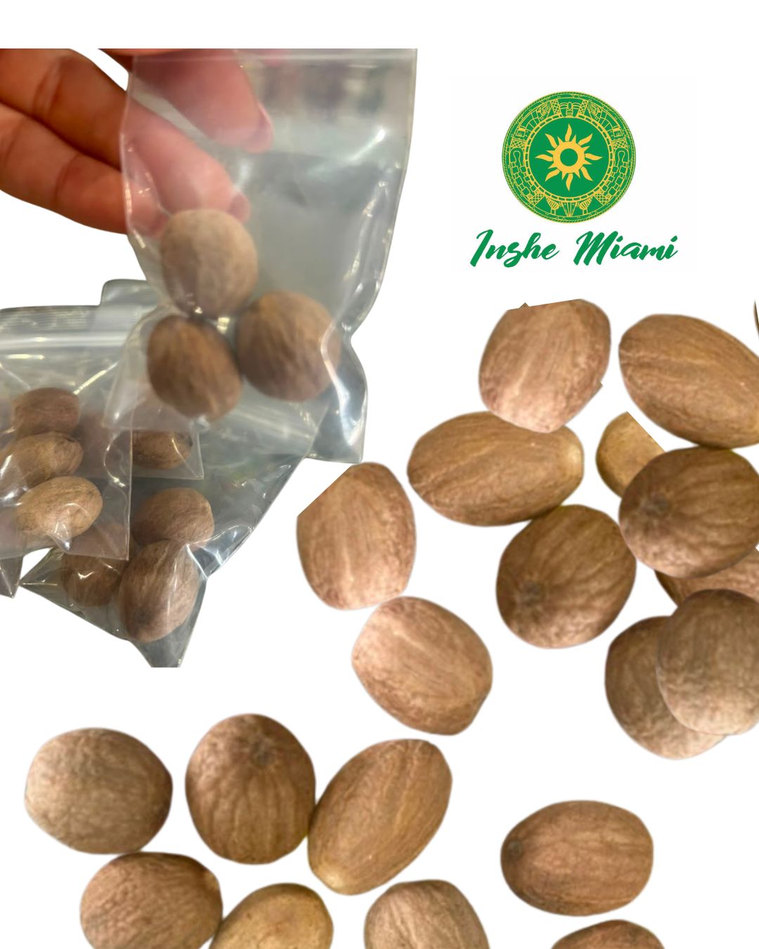 Nutmeg Seed – 3-Piece Pack | Spiritual and Religious Use | Inshe Miami