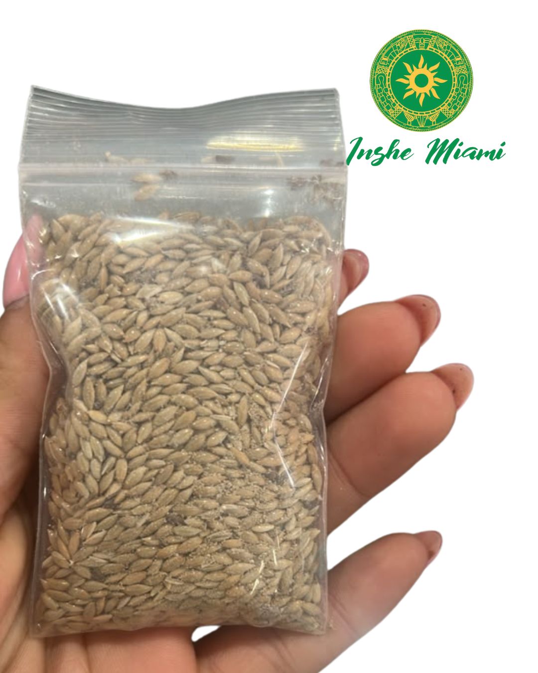 Canary Seed – Traditional Seeds | Inshe Miami