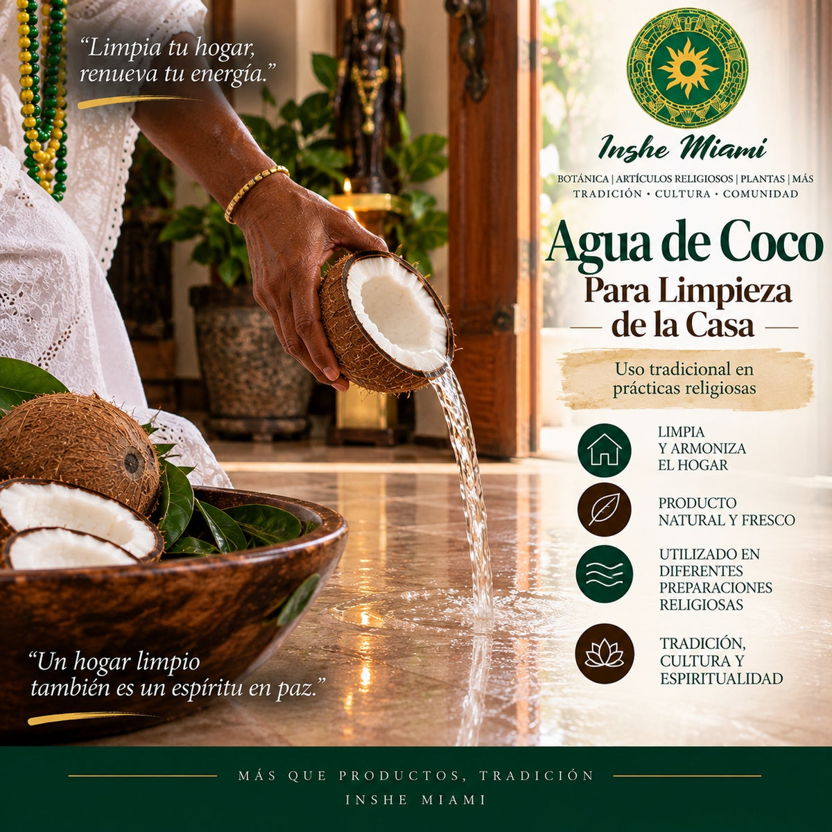 Coco Seco Natural Fresco para Consulta Espiritual y Dar Coco al Santo | Inshe Miami