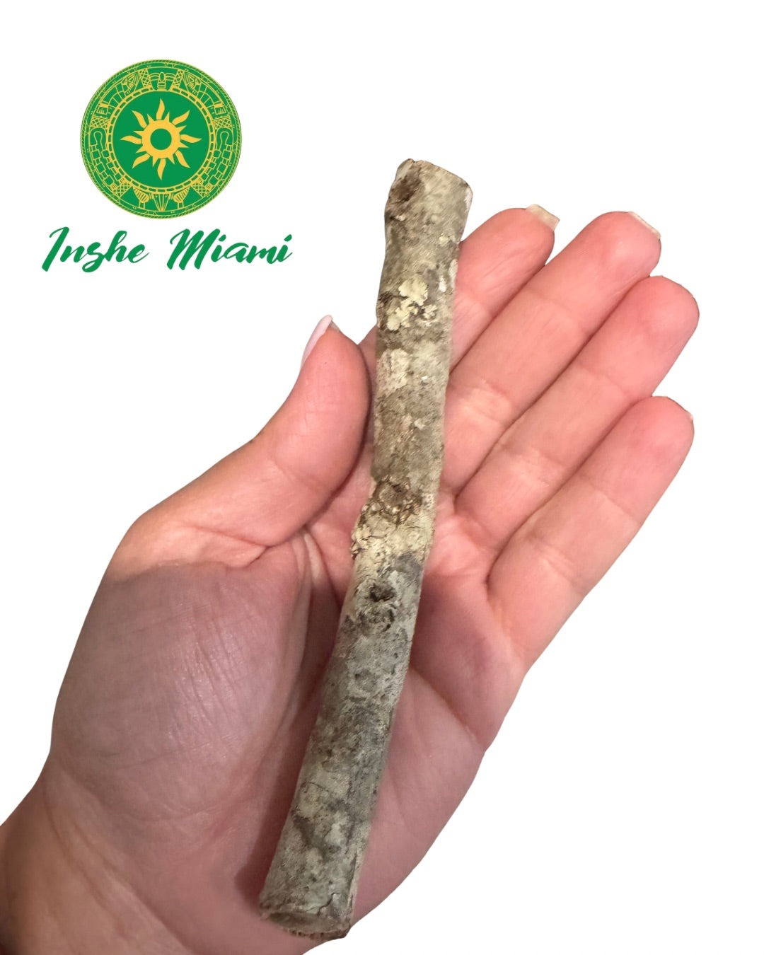 Guava Stick 5.5" | Natural Spiritual Stick for Traditional Use | Inshe Miami