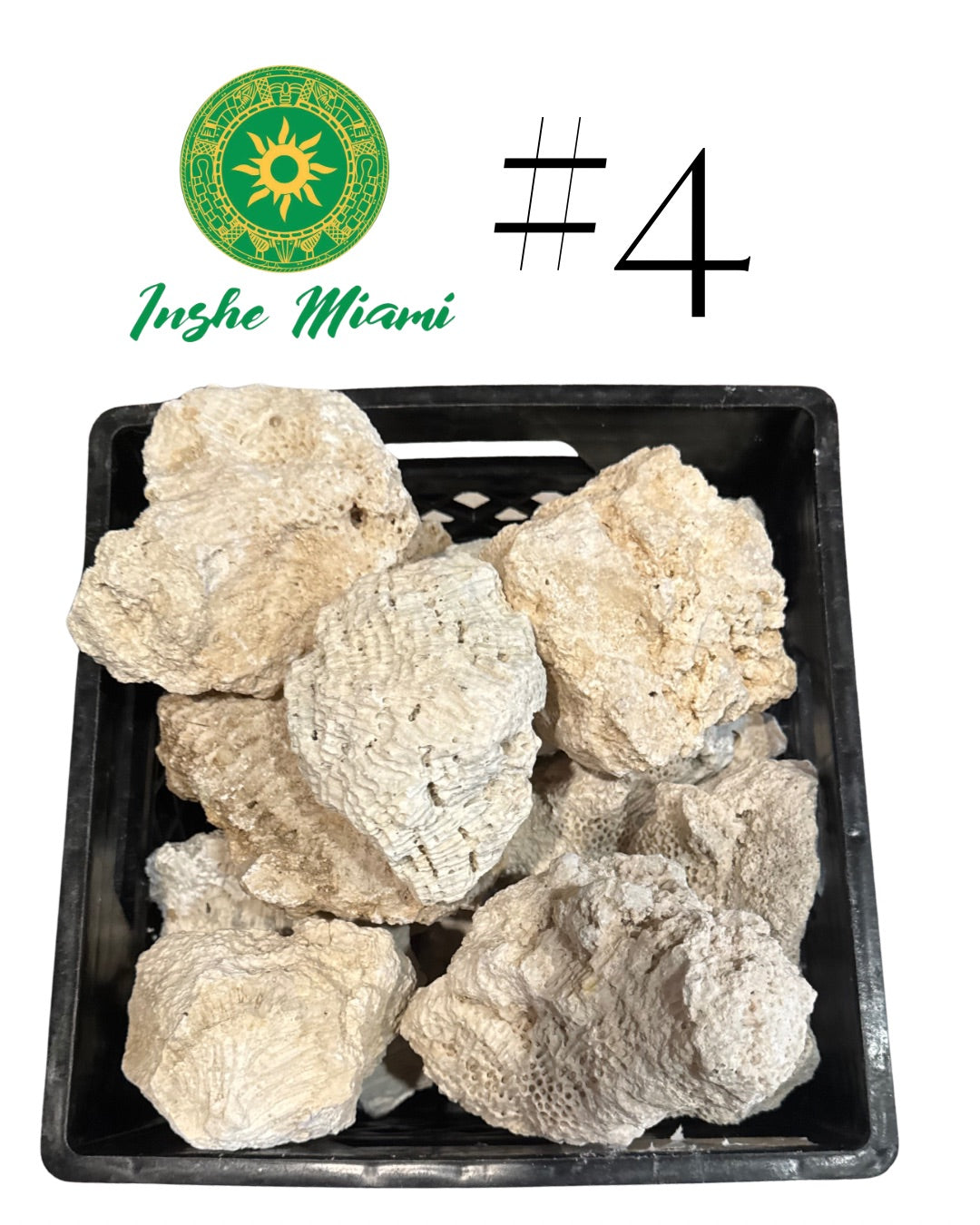 Piedra Porosa Babalu Aje