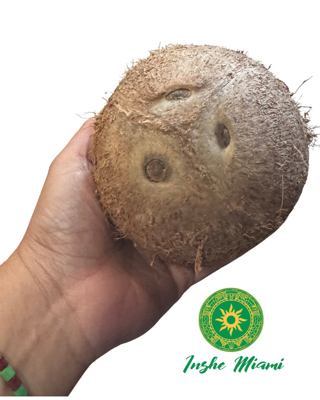 Coco Seco Natural Fresco para Consulta Espiritual y Dar Coco al Santo | Inshe Miami