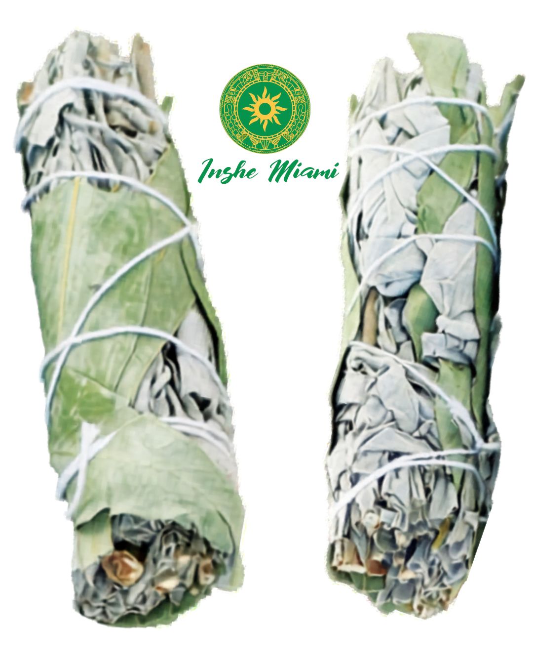 Sage - White Sage with Roses 4"