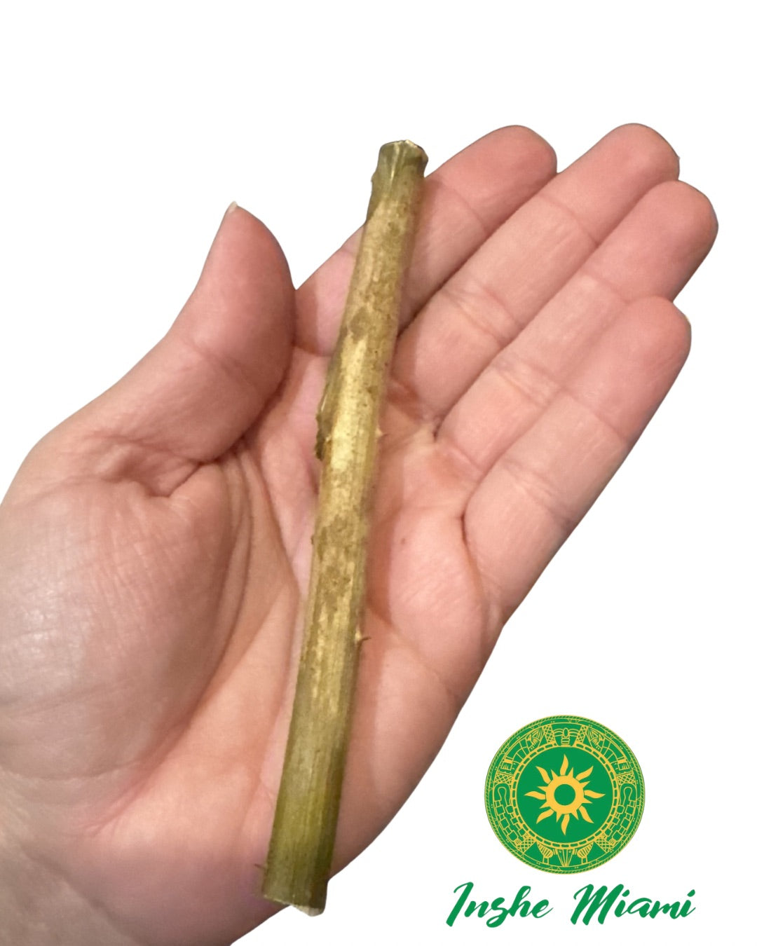 Palo Quita Maldicion 5.5” – Palo Espiritual Natural | Uso Ritual Yoruba / Santería