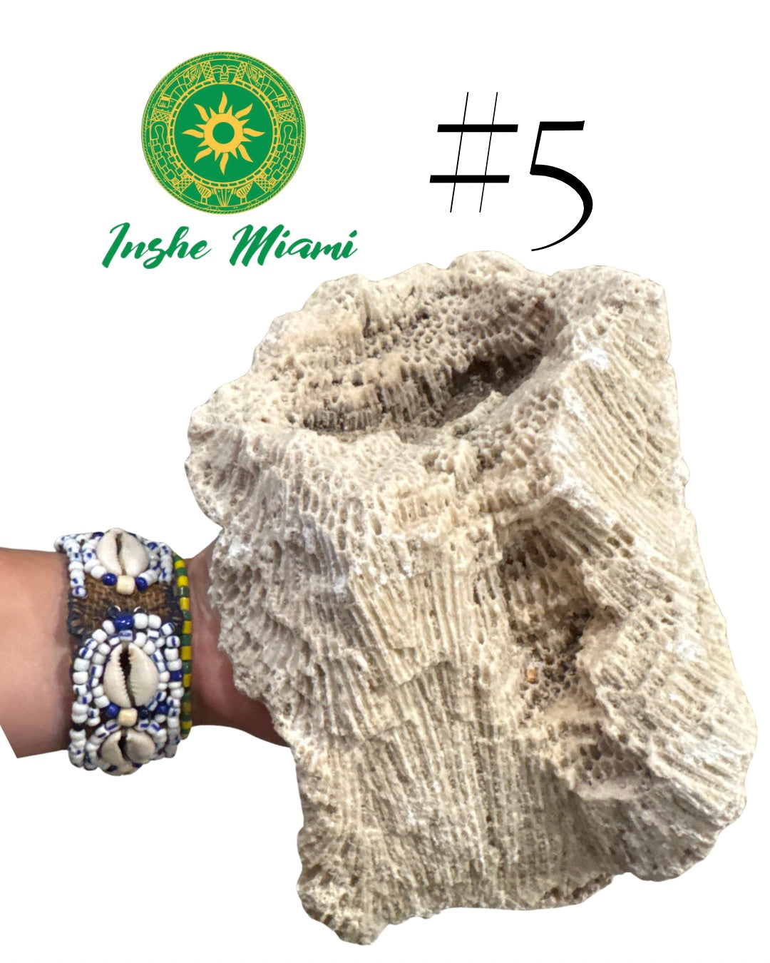 Piedra Porosa Babalu Aje