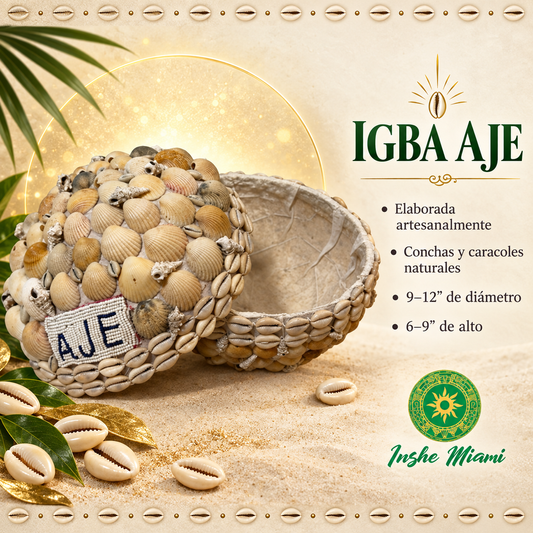 Igba Aje con Caracoles y Conchas Naturales | INSHE MIAMI