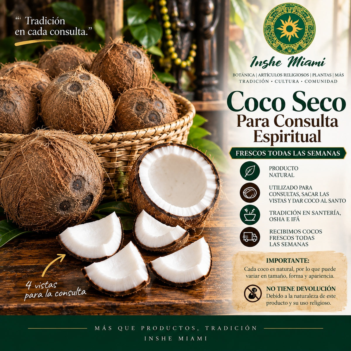 Coco Seco Natural Fresco para Consulta Espiritual y Dar Coco al Santo | Inshe Miami