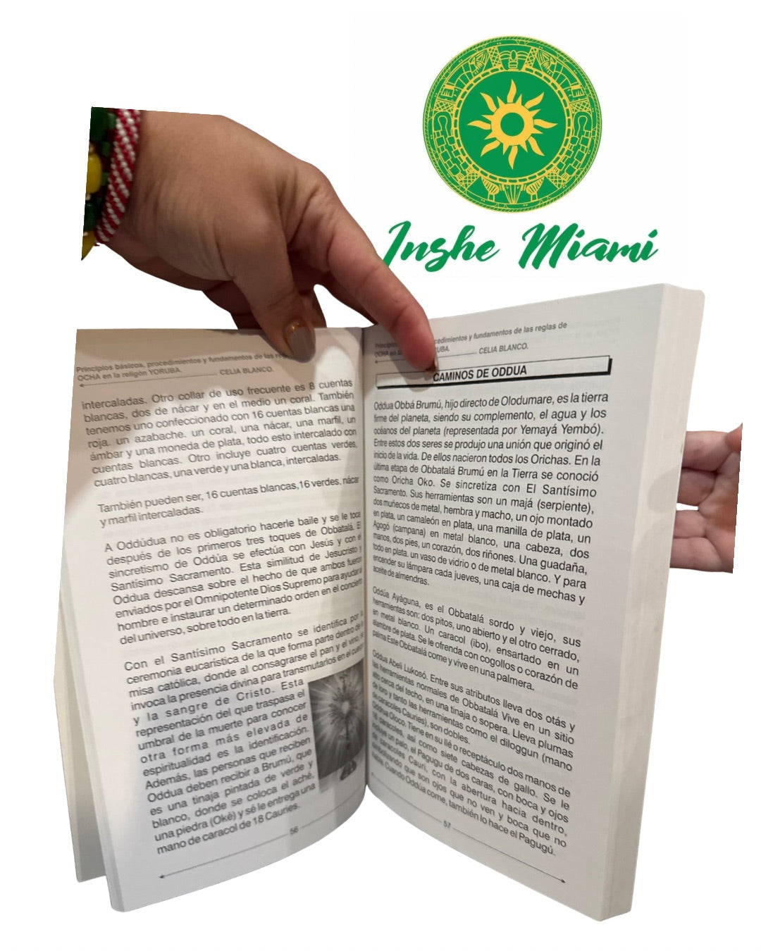 Libro Santería Yoruba 3ra Edicion