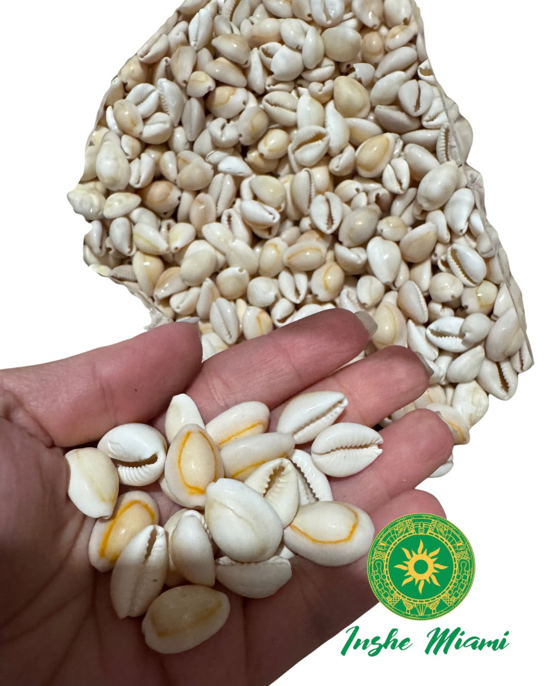 Mano de Caracoles Cerrado