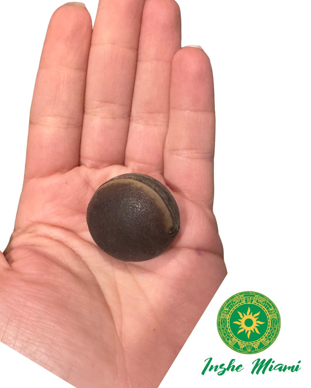Semillas Espirituales (Ojo de Buey, Guacalote, Mate Rojo) – Unidad | Inshe Miami
