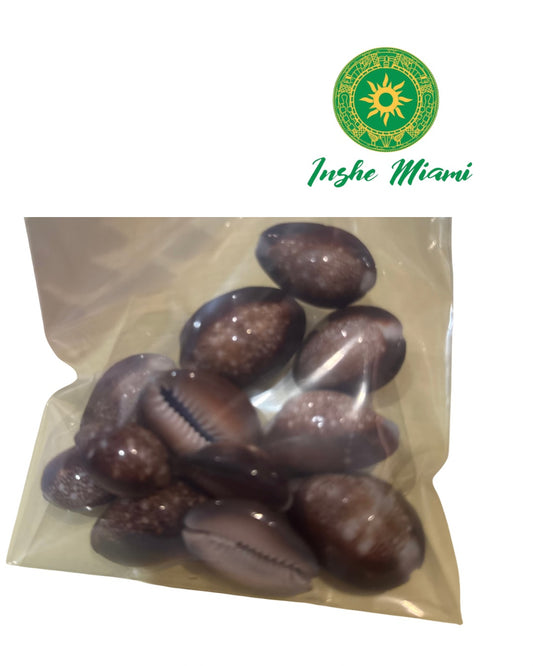 12 Tiger Cowries / Iya Aje (Choose here)
