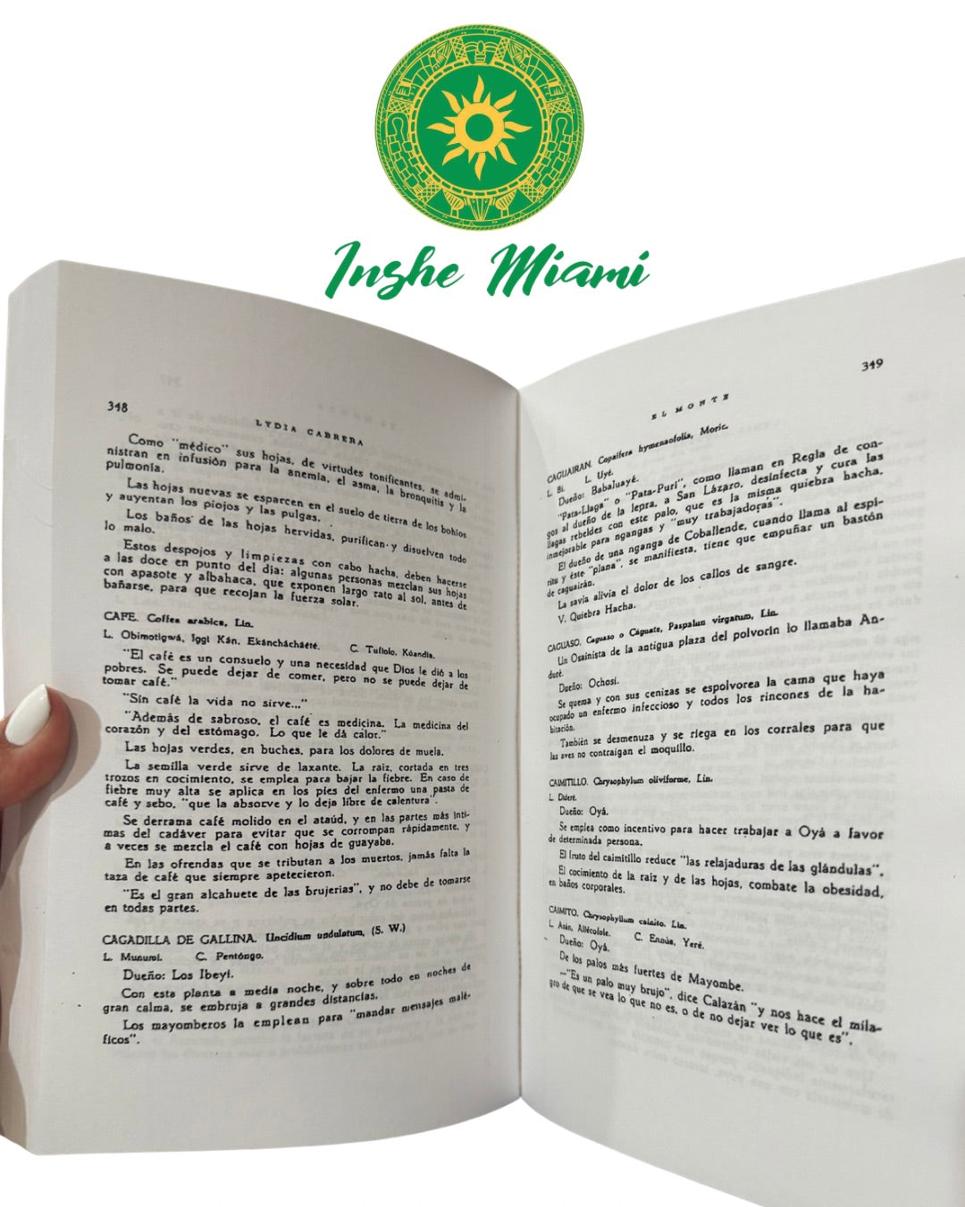 Book El Monte – Igbo Finda | Lydia Cabrera's Book on Yoruba Religion, Palo Monte, and Afro-Cuban Traditions