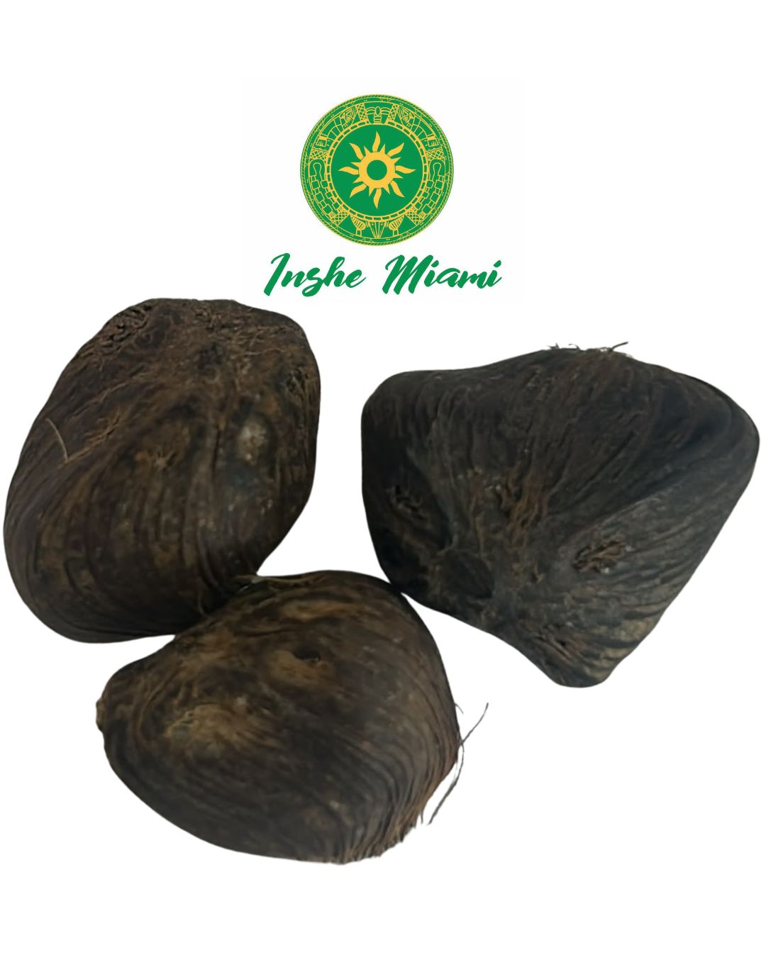 Ikin of 6 Eyes – Sacred Ifá Seed | Sold Individually | Inshe Miami