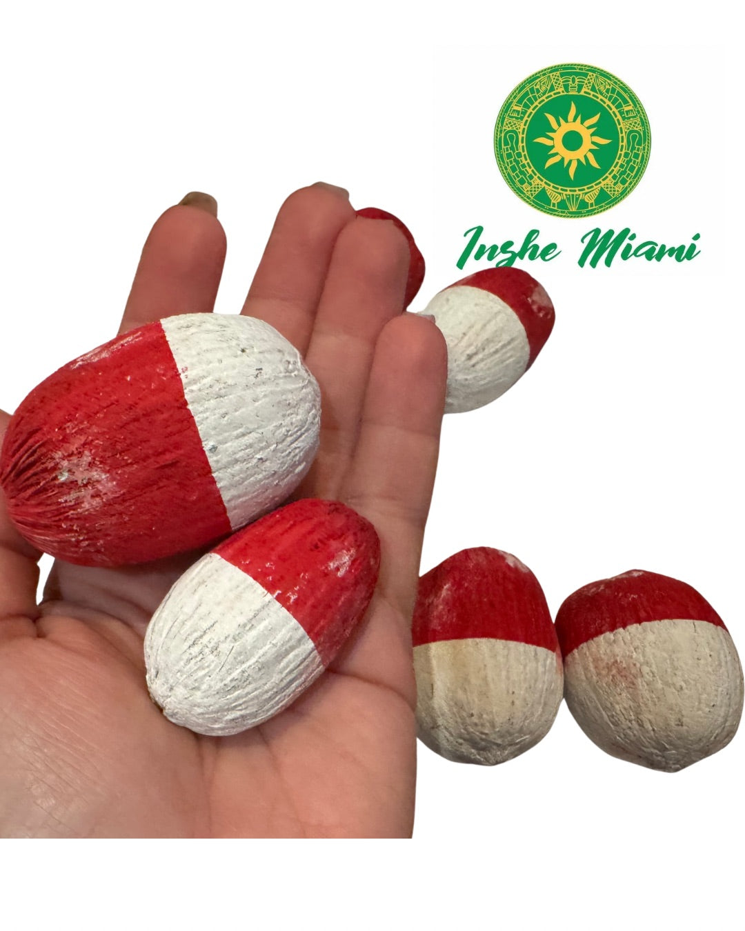 Cocos Chicos 2" Pintados para Orisha Oko – Set de 2 Rojo y Blanco | Inshe Miami