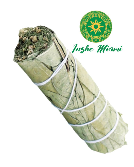 Eucalyptus Incense 4" for Aromatherapy and Traditional Cleansing | Inshe Miami
