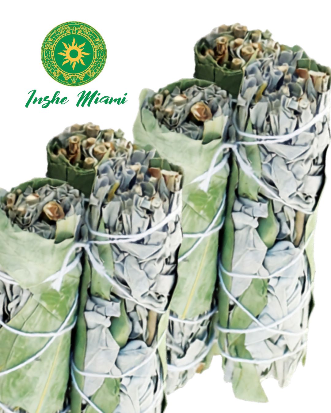 Sage - White Sage with Roses 4"