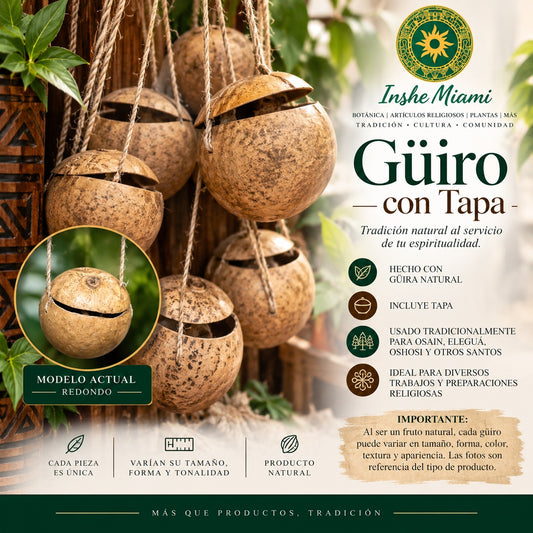 Guiro with Lid