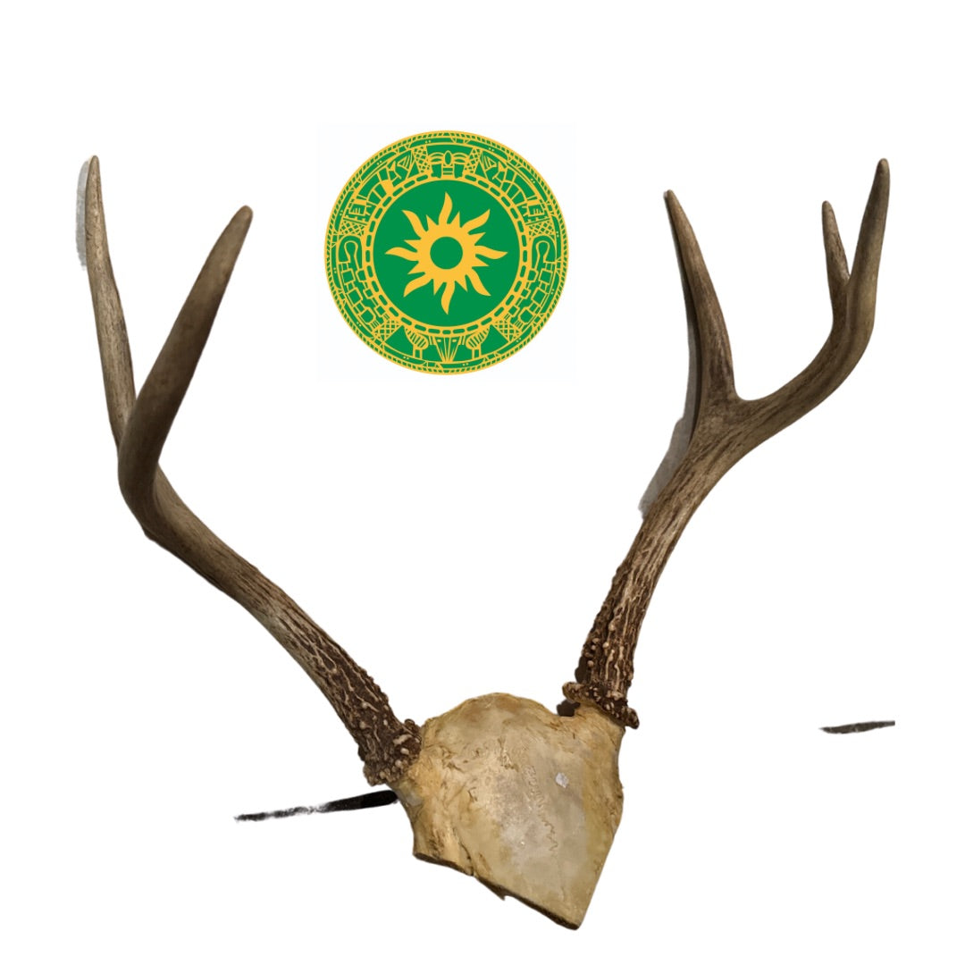Frontil de Venado