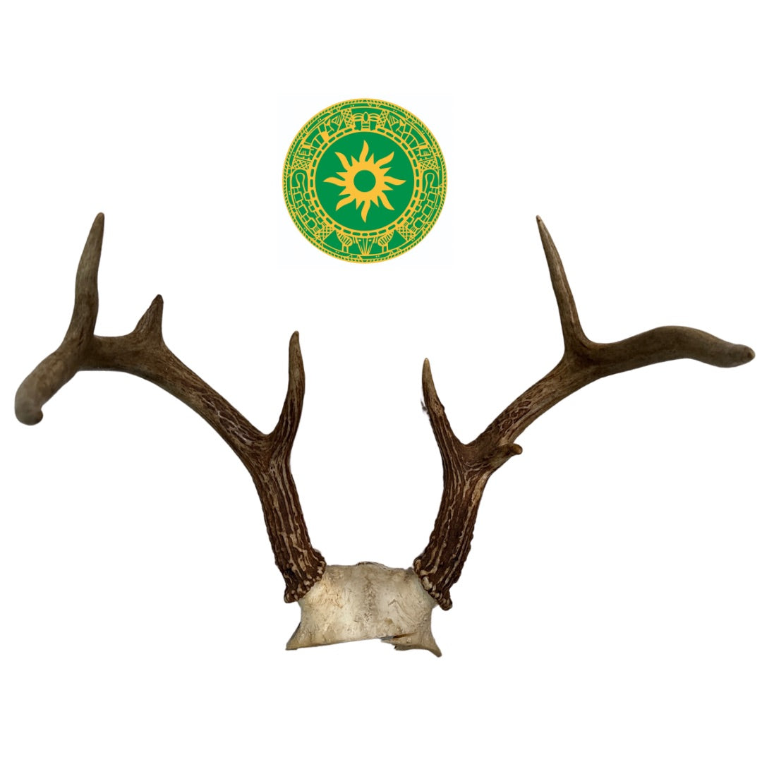 Frontil de Venado