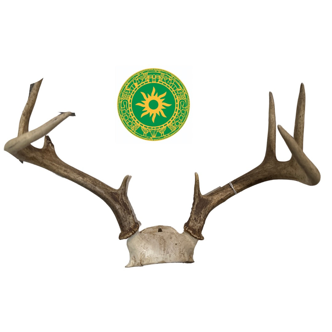Frontil de Venado
