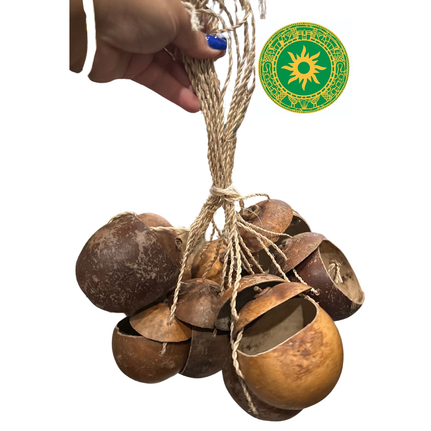 Guiro with Lid