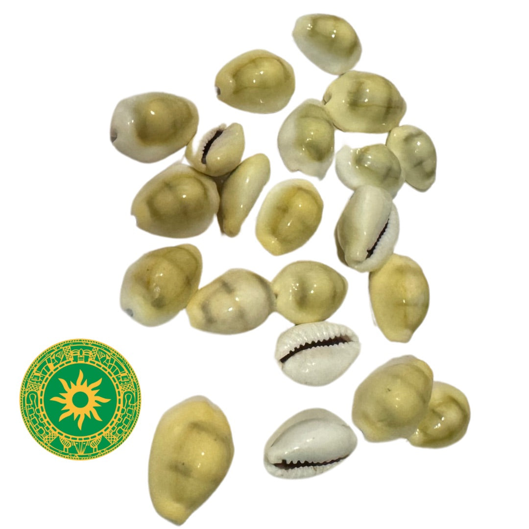 Mano de Caracoles Cerrado