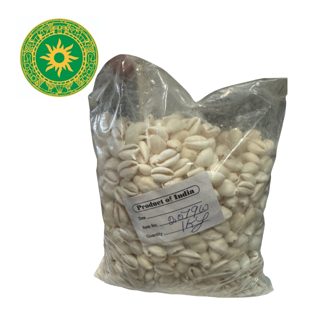 POUND OF CLOSED SNAILS