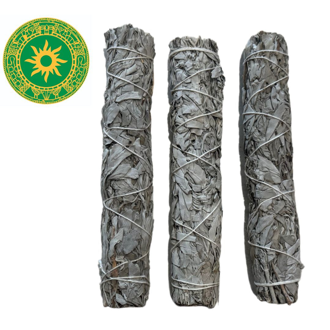 Sage - Salvia Blanca