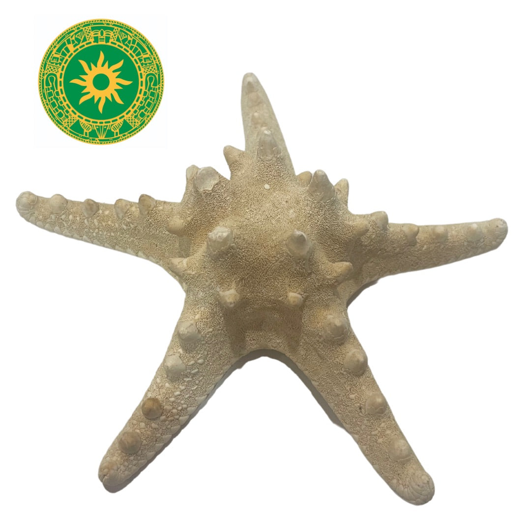 Estrella de Mar Chica