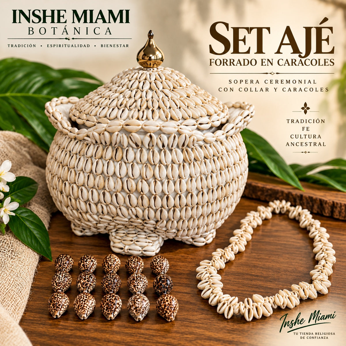 Set Ajé Forrado en Caracoles – Sopera, Collar y 16 Caracoles Tigres | Inshe Miami