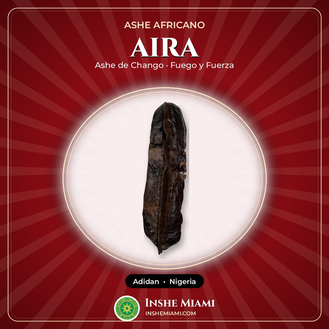 Vaina de Aira (Adidan) Nigeriana | Inshe Miami