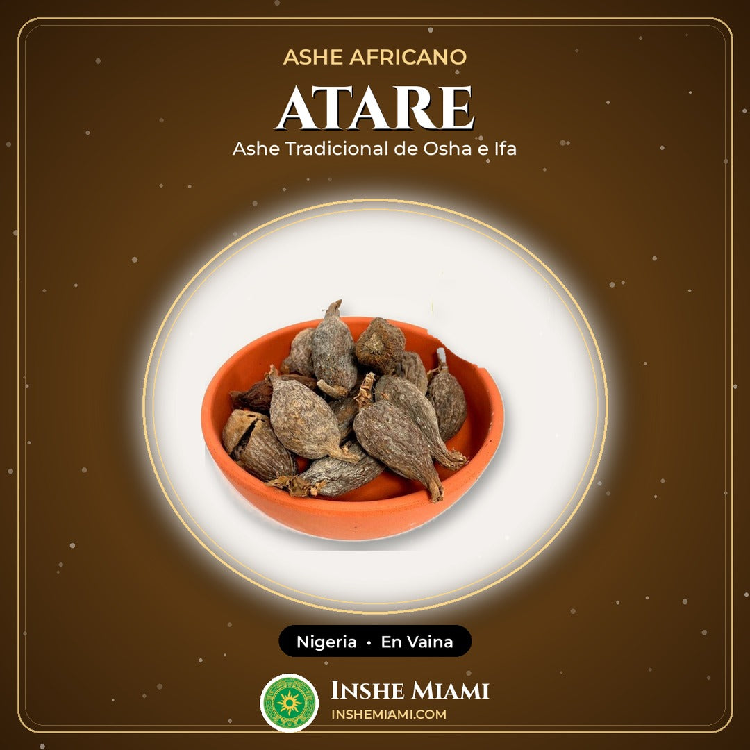Atare Nigeriano en Vaina | Inshe Miami