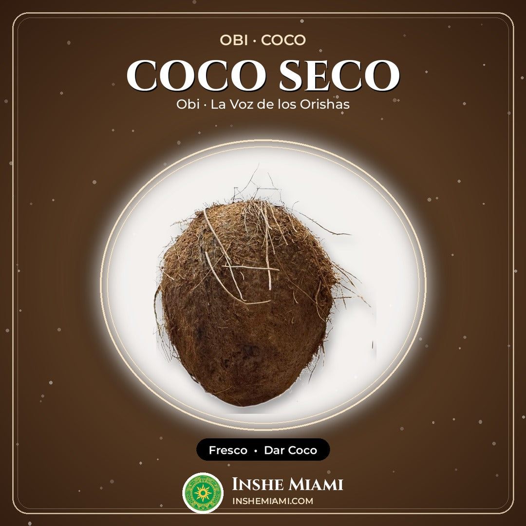 Coco Seco Natural | Inshe Miami